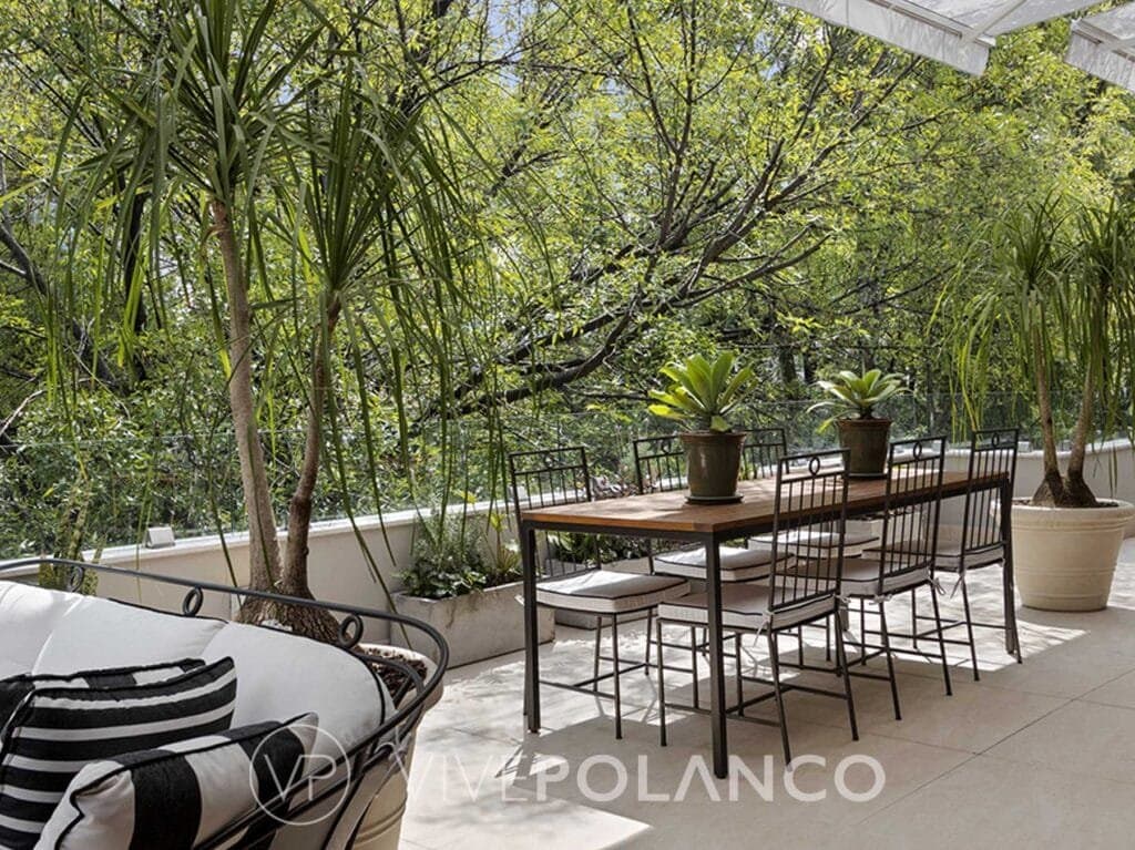 Terraza con mesa de madera, sillas negras con cojines beige y abundante vegetación con palmeras en Anatole France, Polanco