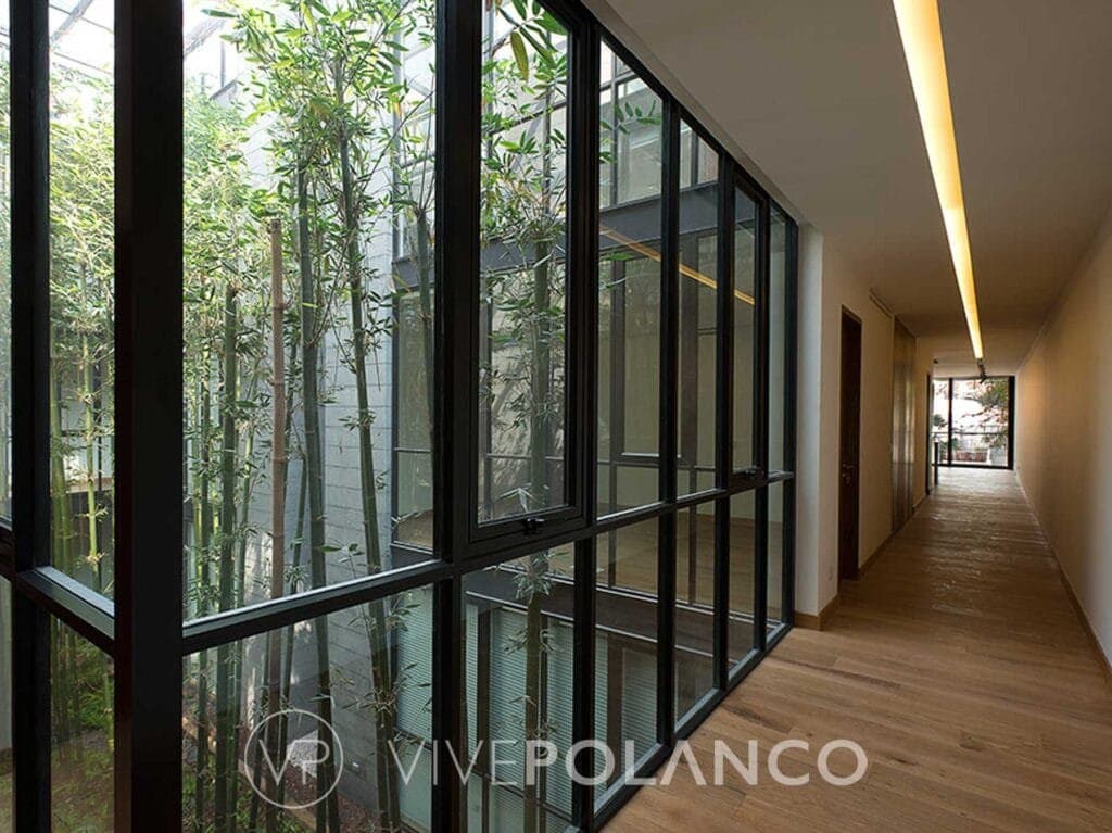 Corredor contemporáneo con piso de madera, ventanales de marcos negros y vista a patio con bambú en Christian Andersen 529b Polanco, Polanco