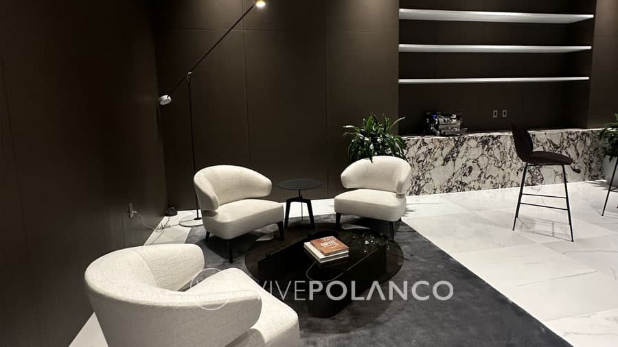 Living the High Life: Luxury Apartments in Polanco and Their Elite Amenities