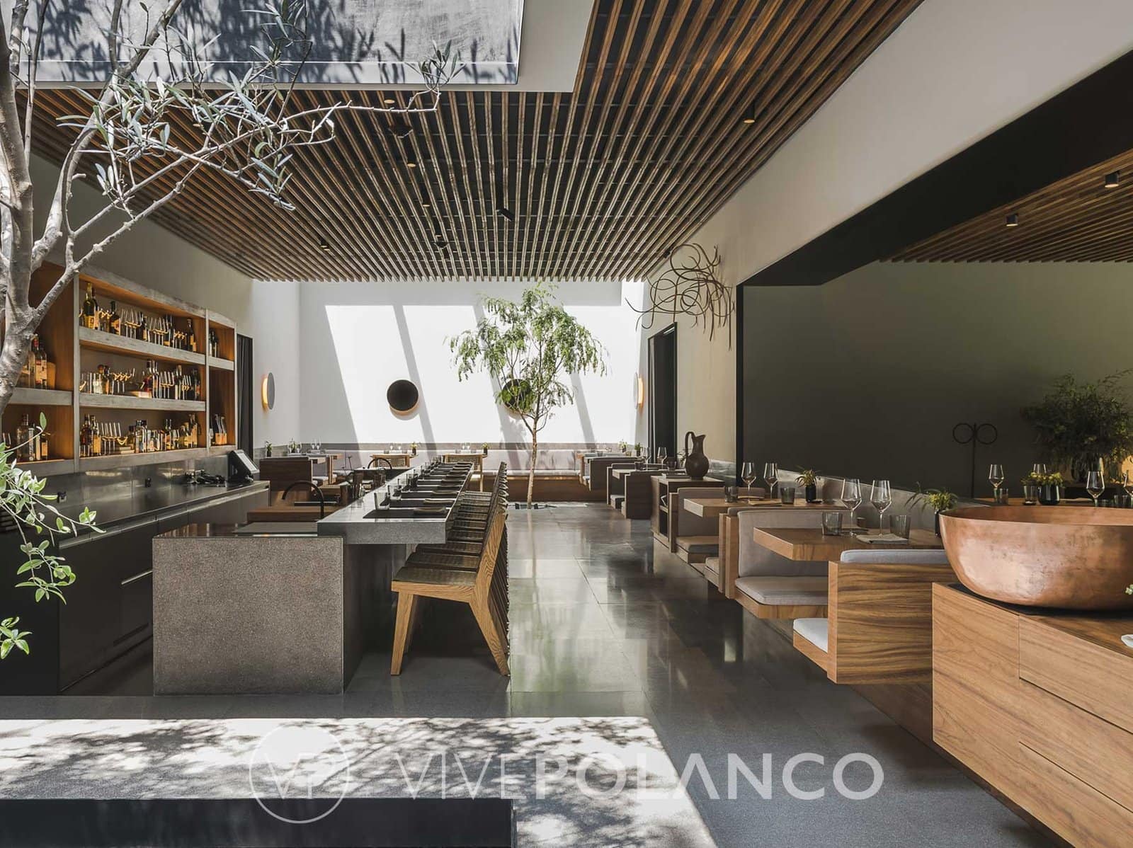 Polanco’s Fine Wine Scene: Cellars, Tastings, and Investment-Grade Collections