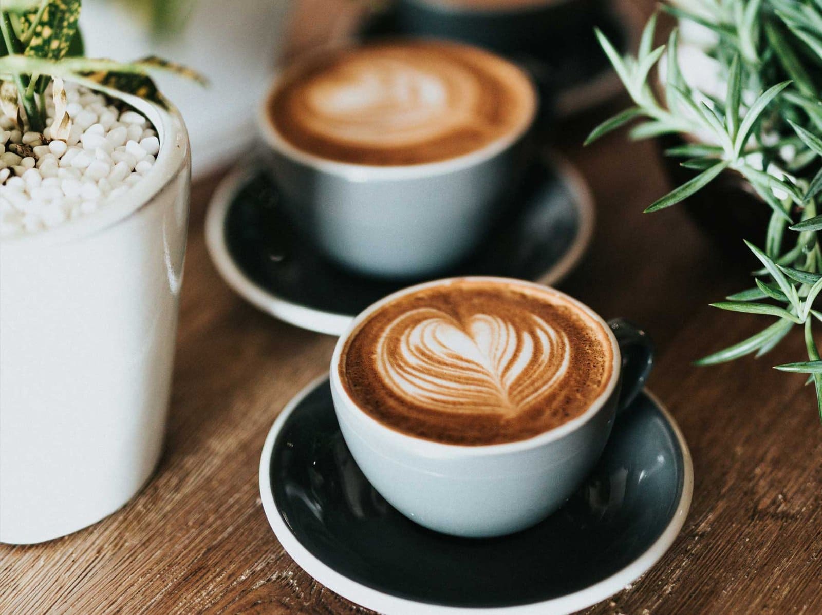 Café exclusivo en Polanco