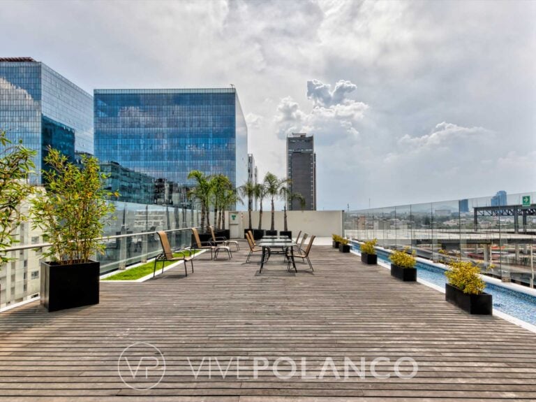 Terraza en azotea con deck de madera, sillas de exterior, planters con plantas y alberca con vista a edificios