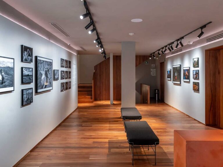 leica store polanco 2 768x575