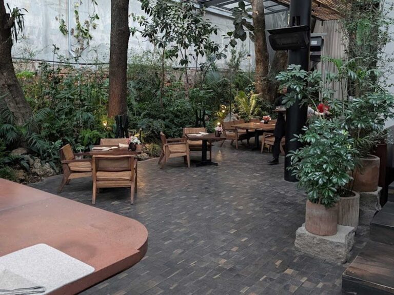 pujol polanco 1 768x575