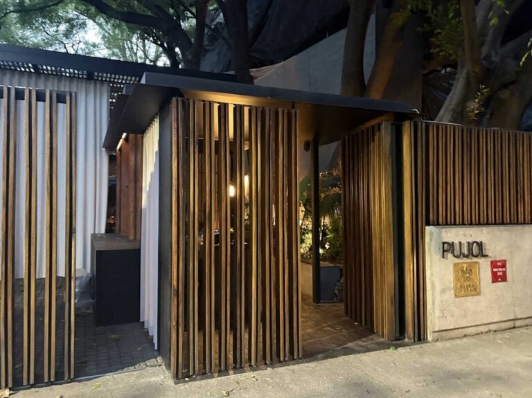 pujol polanco 7 768x575