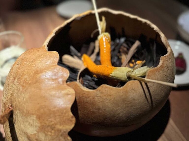 pujol polanco 8 768x575