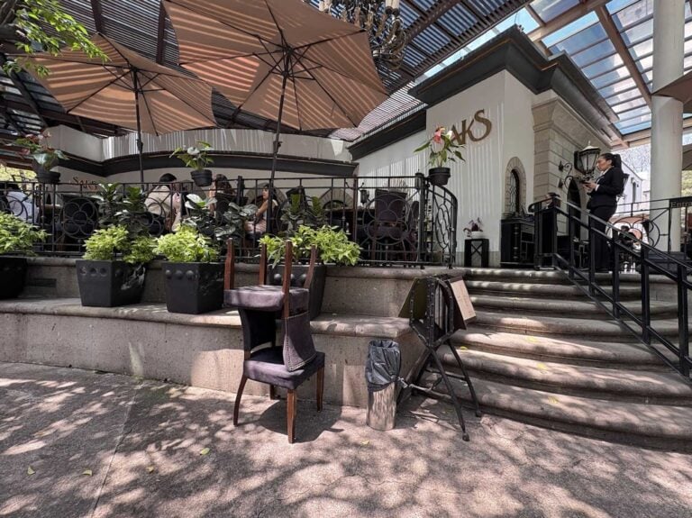 saks polanco 6 768x575