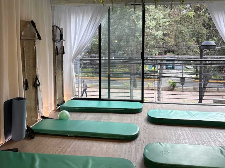 the fit pilates horacio 2 768x575