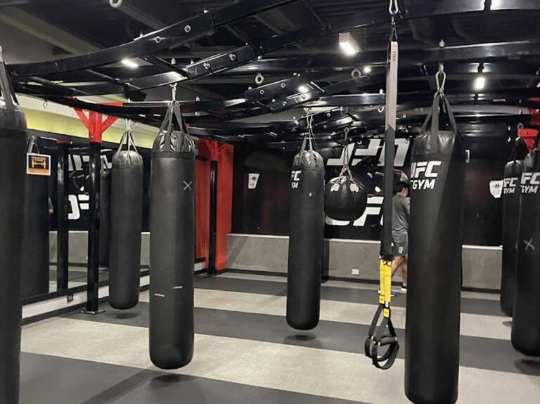 UFC polanco 1 768x575