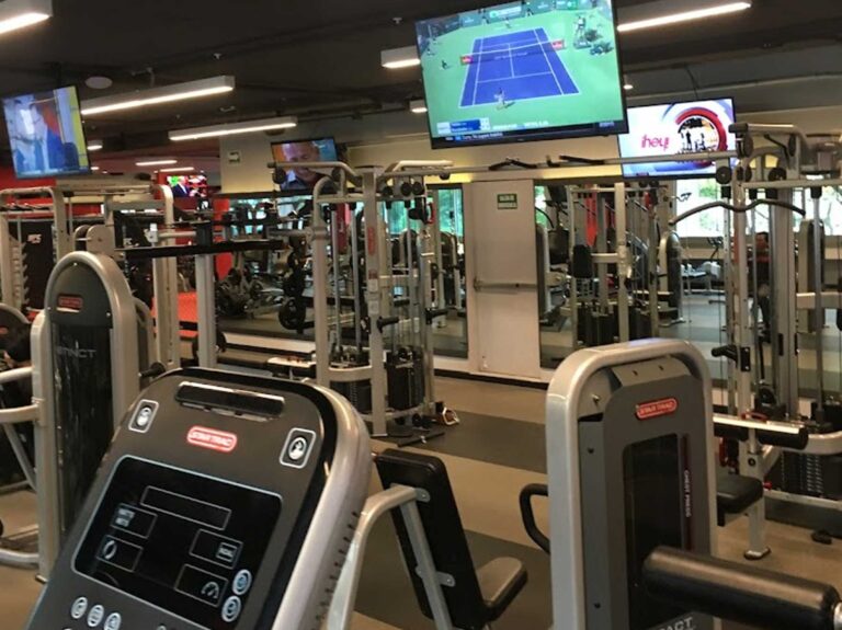 UFC polanco 2 768x575