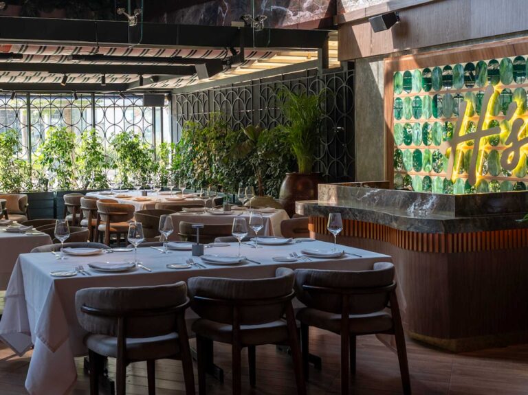 harrys polanco 4 768x575