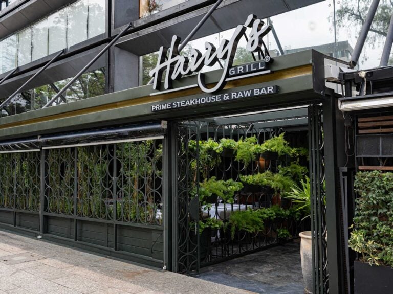 harrys polanco 5 768x575