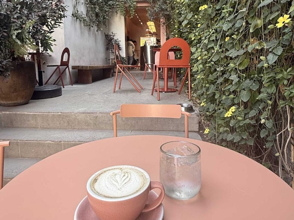 Jardín y terraza de Niddo Café en Anatole France 129, Polanco CDMX, con decoración en rosas y plantas