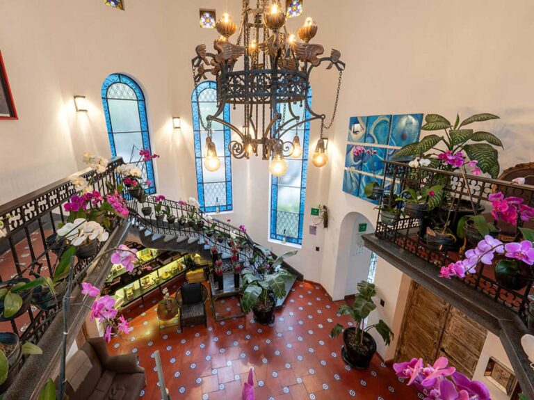 orchid house polanco 10 768x575