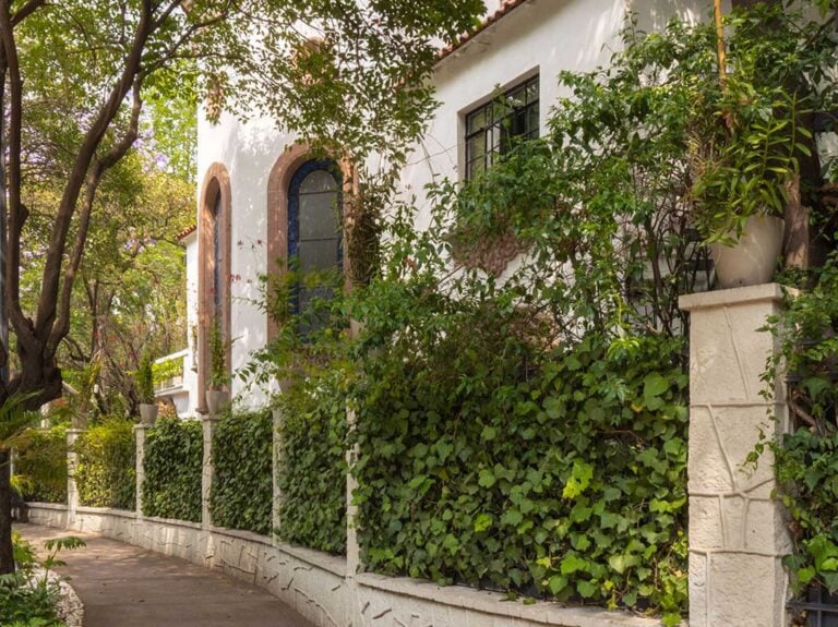 orchid house polanco 12 768x575