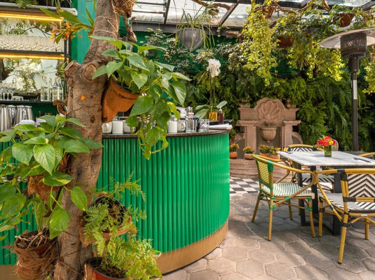 orchid house polanco 2 768x575