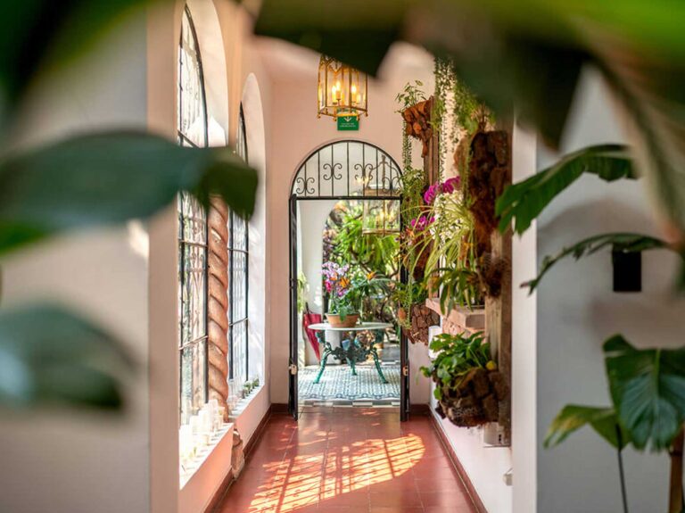 orchid house polanco 4 768x575