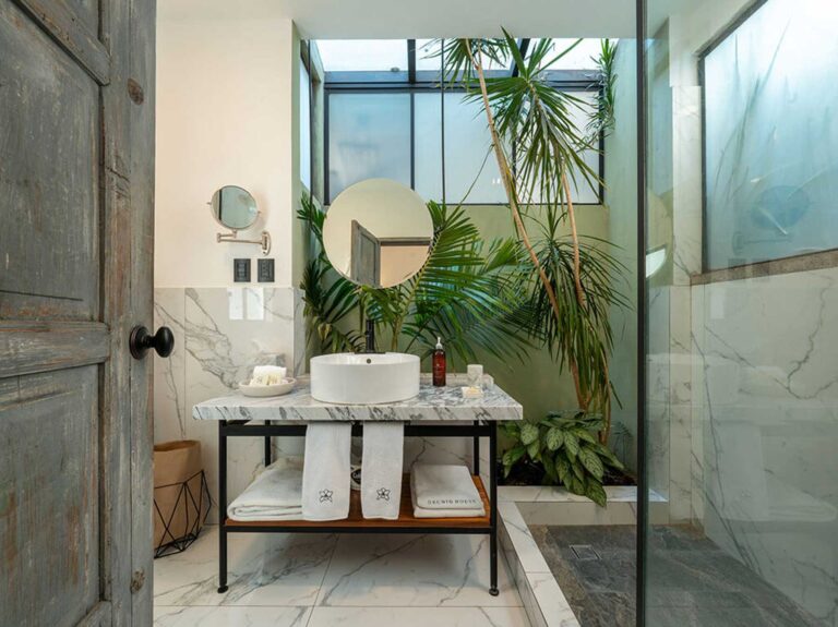 orchid house polanco 5 768x575