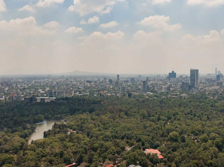 park hyatt hotel mexico city 11 1 768x575