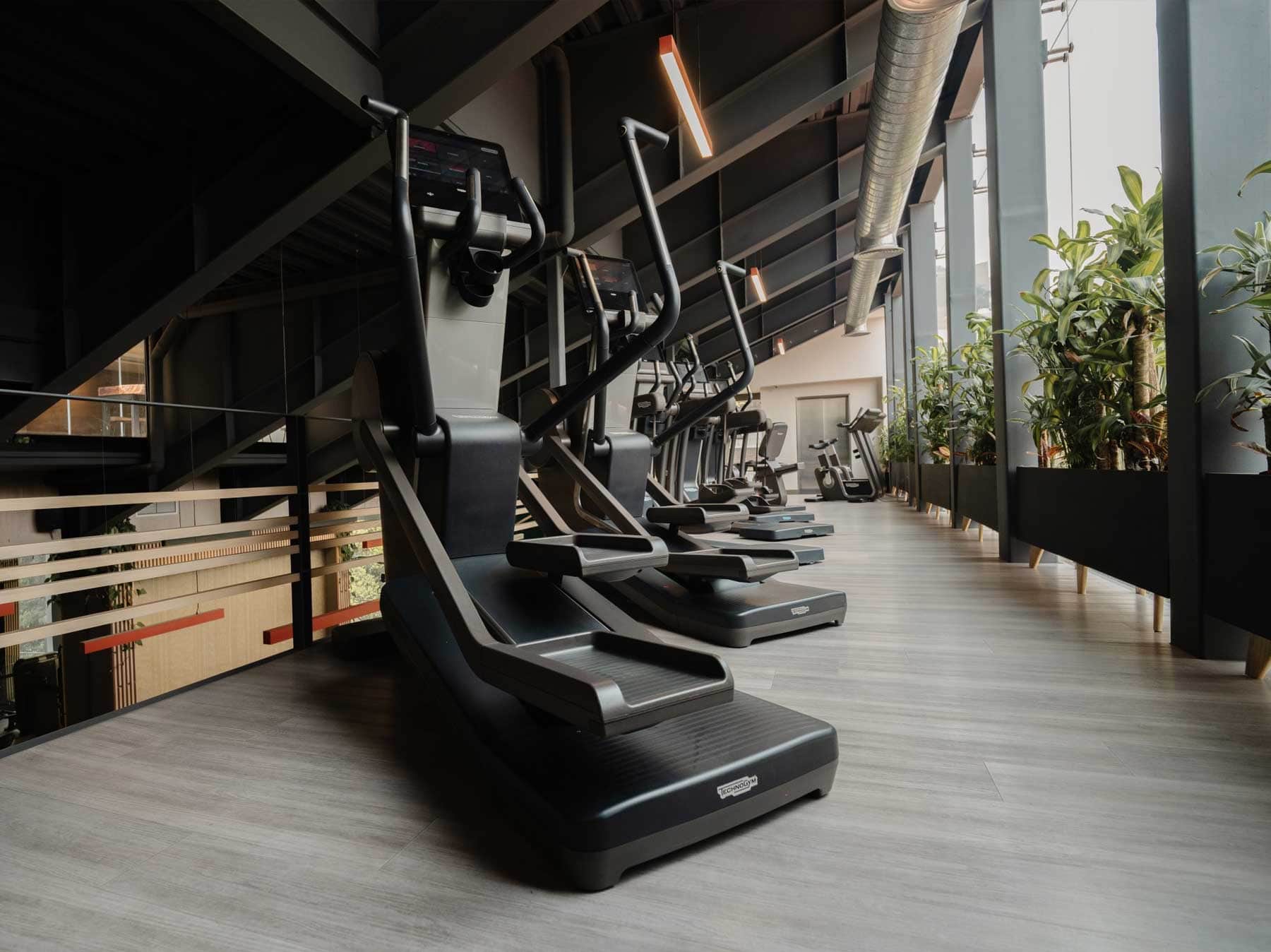 Teva Wellness Polanco: el Club de Bienestar de Lujo que Redefine el Lifestyle en la Colonia