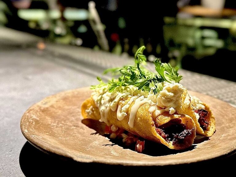 ticuchi 1 768x575
