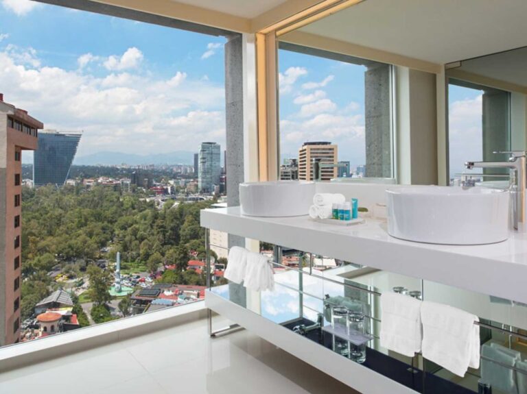 w mexico city 17 768x575