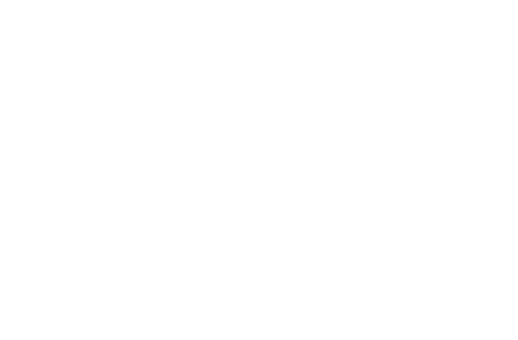 Josh Stein Realtor logo